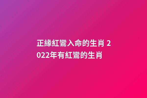 正緣紅鸞入命的生肖 2022年有紅鸞的生肖-第1張-觀點-玄機派